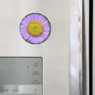 Paarse Fleabane Daisy Floral Magneet