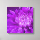 Paarse florale chrysanthemum canvaskunst canvas afdruk (Voorkant)