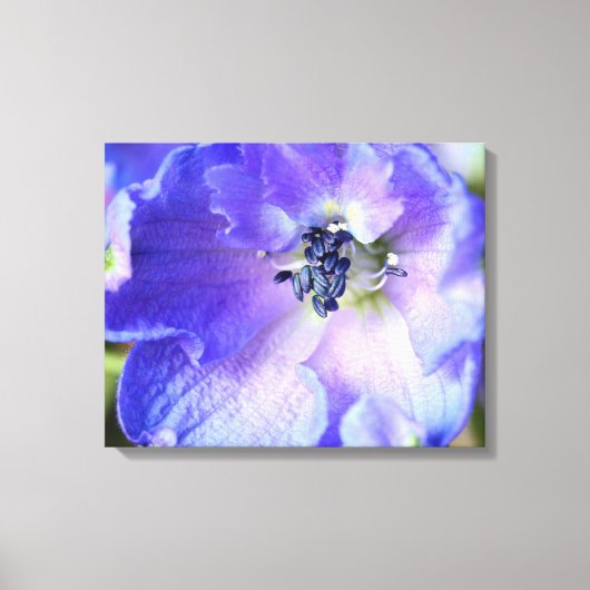 Paarse franjes canvas afdruk (Voorkant)