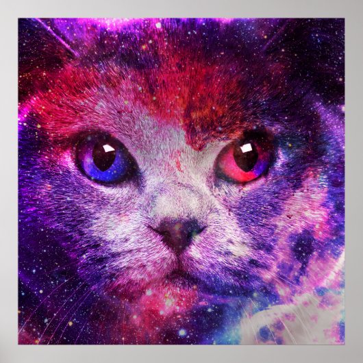 Paarse Galaxy Kat Poster (Voorkant)