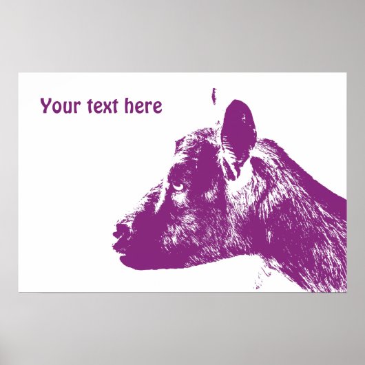Paarse Geitenposter Poster (Voorkant)