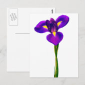 Paarse gele Iris bloemen Briefkaart (Voorkant / Achterkant)
