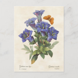 Paarse Gentian Botanische illustratie Briefkaart