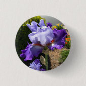 Paarse gepantserde Iris Button (Voorkant)