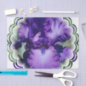 Paarse gepantserde iris tissuepapier (Craft)