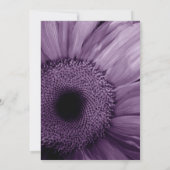 PAARSE Gerber Daisy Wedding Uitnodiging (Achterkant)