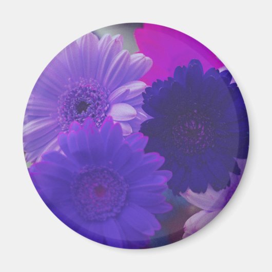 Paarse Gerbera Daisy Flower Refkoelkast Magnet Magneet (Voorkant)