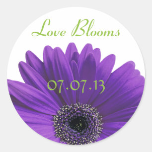 Paarse Gerbera Daisy Love Blooms Wedding Stickers