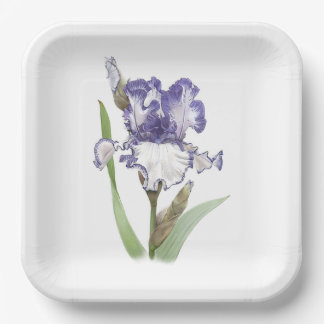 Paarse gevlekte Iris botanische kunst Papieren Bordje