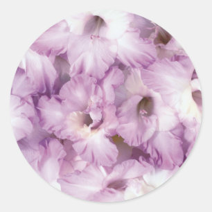 Paarse Glads alle gelegenheden Ronde Sticker