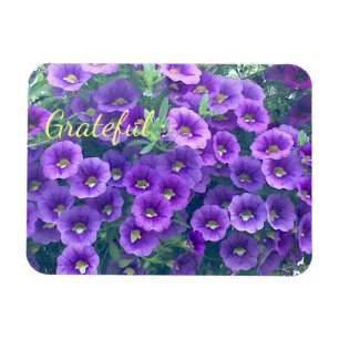 Paarse Gratitude Petunia Magneet