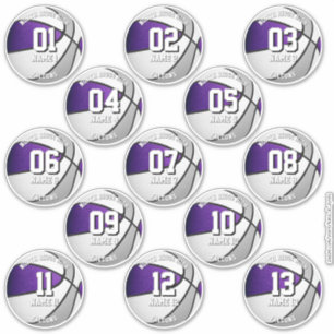 paarse grijze teamkleuren 13 basketballspelers sticker