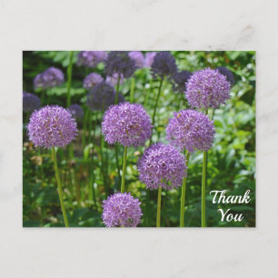 Paarse groep Allium bloemen Dank je wel Briefkaart