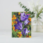 Paarse Harebell Flower Briefkaart (Staand voorkant)