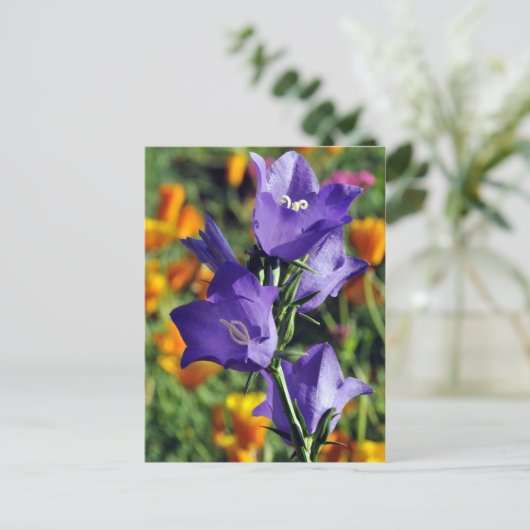 Paarse Harebell Flower Briefkaart (Staand voorkant)