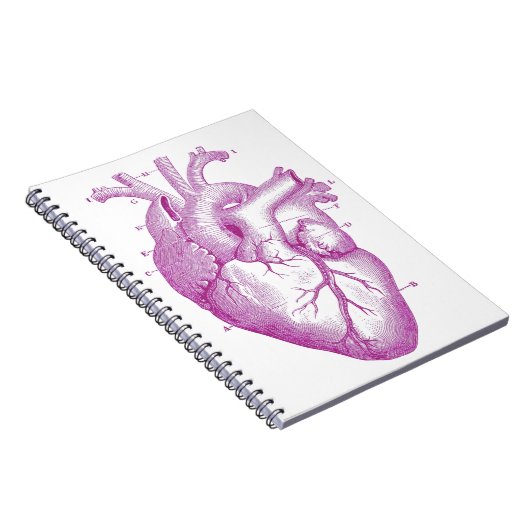 Paarse  hartanatomie notitieboek (Rechterzijde)