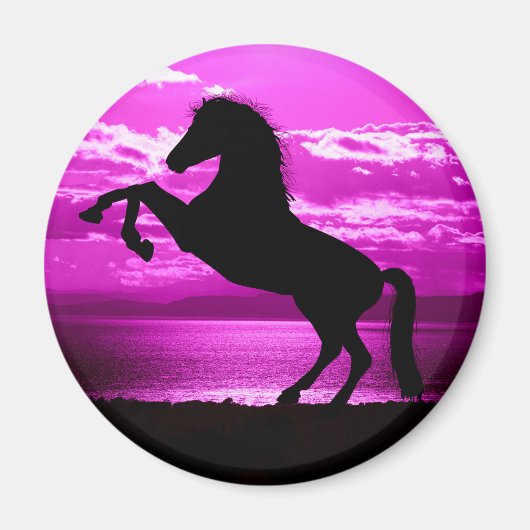 Paarse hemel en water voor zwarte paarden magneet (Voorkant)