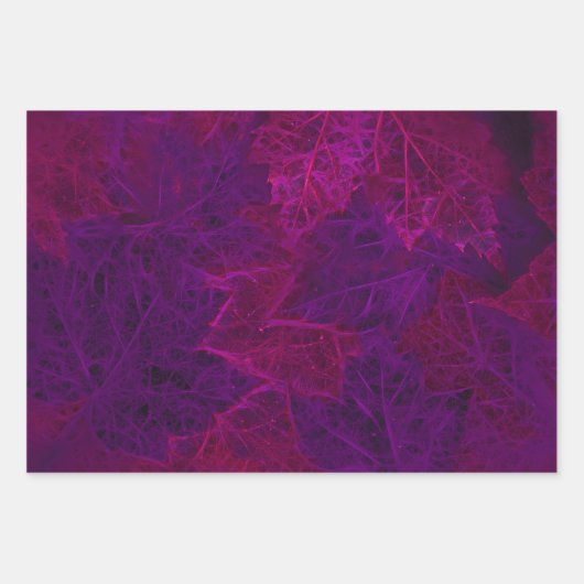 Paarse herfst roze neon Dark Maple Leaves Inpakpapier Vel (Voorkant)