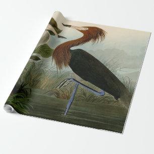 Paarse Heron Audubon-vogelschilderij Cadeaupapier