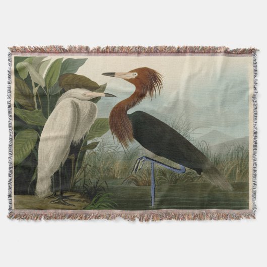 Paarse Heron Audubon-vogelschilderij Deken (Voorkant)