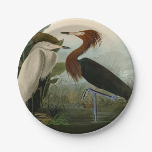 Paarse Heron Audubon-vogelschilderij Papieren Bordje