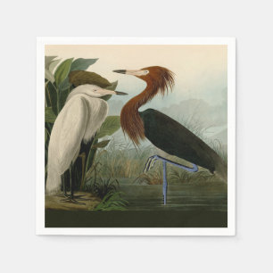 Paarse Heron Audubon-vogelschilderij Servet