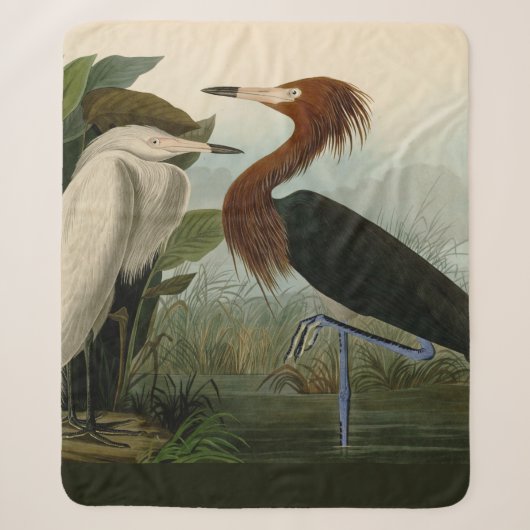 Paarse Heron Audubon-vogelschilderij Sherpa Deken (Voorkant)