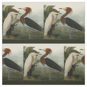 Paarse Heron Audubon-vogelschilderij Stof