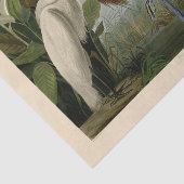Paarse Heron Audubon-vogelschilderij Tissuepapier (Detail)