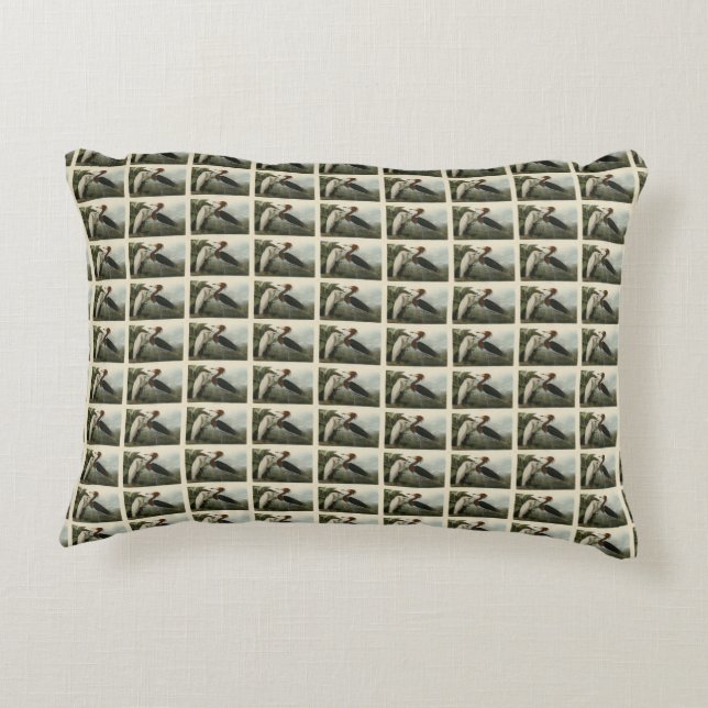 Paarse Heron - van de Amerikaanse vogels van Audub Accent Kussen (Achterkant)