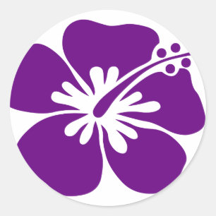 paarse hibiscus aloha bloem ronde sticker