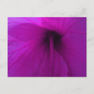 Paarse Hibiscus Flower Briefkaart