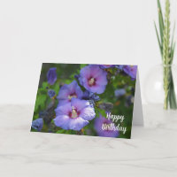 Paarse Hibiscus Verjaardag