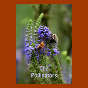 Paarse "HoneyBee" en "Bumblebee" Pollinators Poster