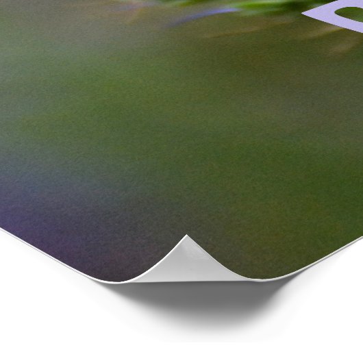 Paarse "HoneyBee" en "Bumblebee" Pollinators Poster (Hoek)