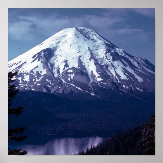 Paarse Hoogheid Poster (Voorkant)