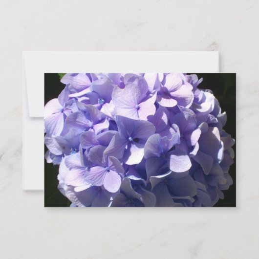 Paarse hortensia paarse bloem paarse bloem save the date (Achterkant)