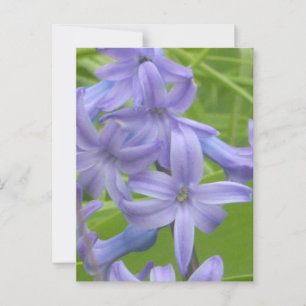 Paarse Hyacint Close Up DIY Briefkaart
