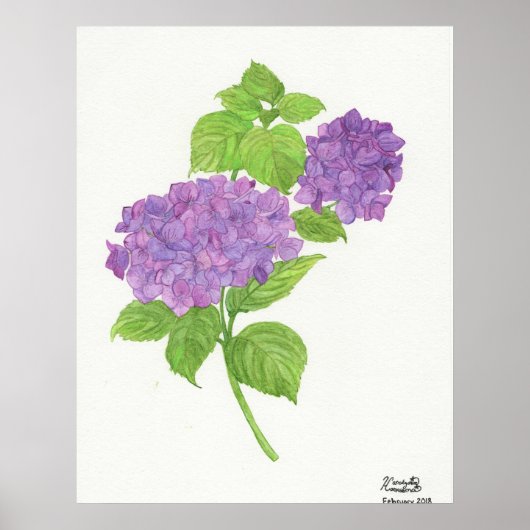Paarse Hydrangea Poster (Voorkant)