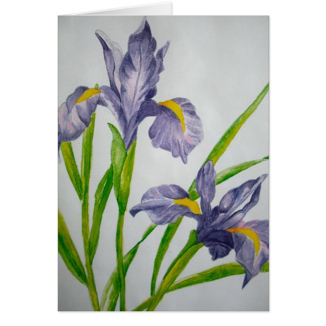 paarse iris (Voorkant)