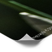 Paarse Iris 8393 Afdrukken Poster (Hoek)