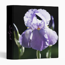 Paarse Iris 8393 Multomap