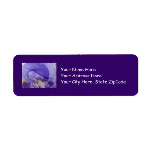 Paarse Iris Bloem Adres Labelstickers Irissen Etiket