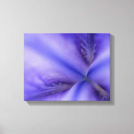 Paarse Iris Bloem Close-up Canvas Afdruk (Voorkant)