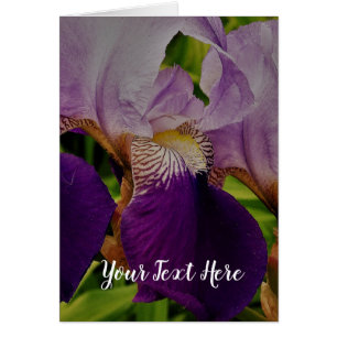 Paarse iris bloem foto Briefkaart