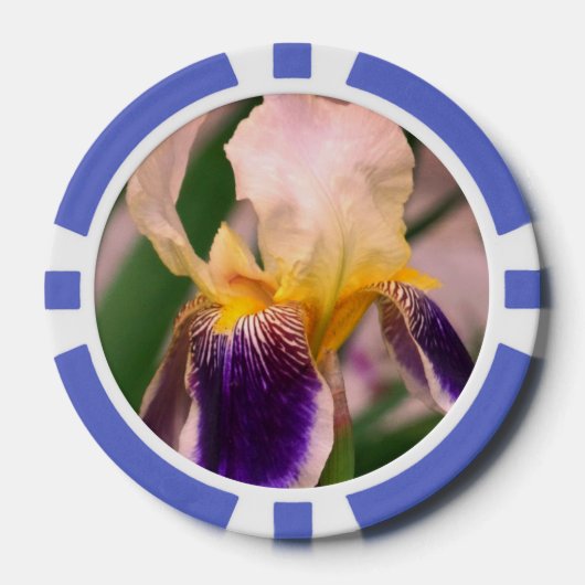 Paarse iris bloem foto klei poker chips (Voorkant)