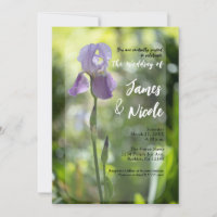 Paarse Iris Bloem Groene Lente Bruiloft