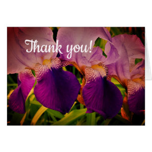 Paarse Iris Bloemen Foto Dank u kaart