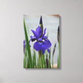 Paarse Iris Botanische Fotografische Bloemstukken Canvas Afdruk (Voorkant)