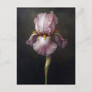 Paarse Iris Botanische Schilderij Briefkaart